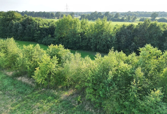 Perspektywa lotnicza na linię drzew i łąki – profesjonalna fotografia krajobrazowa z drona w Chrzanowie