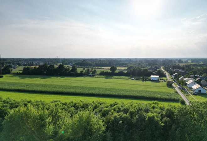 Szeroka panorama z drona przedstawiająca zielone pola uprawne, pas drzew oraz drogę dojazdową do zabudowań.